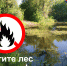 В регионе 5 класс пожарной опасности лесов - 63сh.Ru