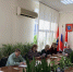 1 - Дума г.о.Чапаевск